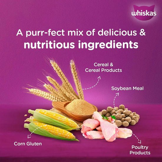 Whiskas Chicken Dry Cat Food Adult (+1 Year) | Complete Nutrition - Image 3