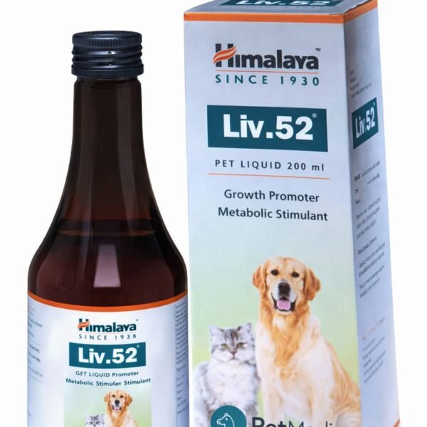 Himalaya Liv.52 Liver Syrup 200 ml